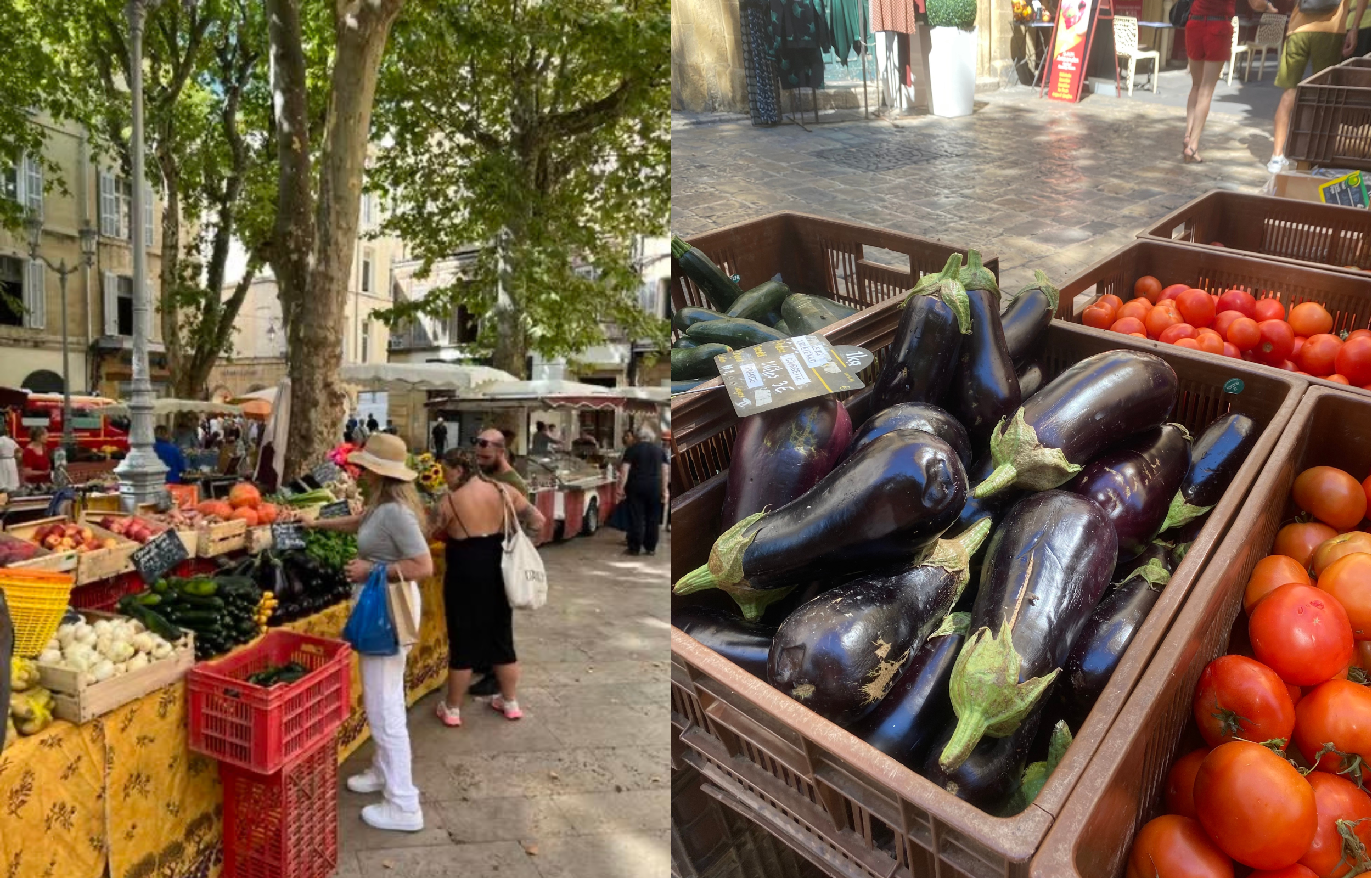 Provence market provence france market